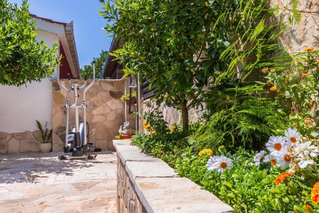 פלוצ'ה Villa Tina מראה חיצוני תמונה